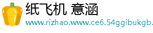 纸飞机 意涵